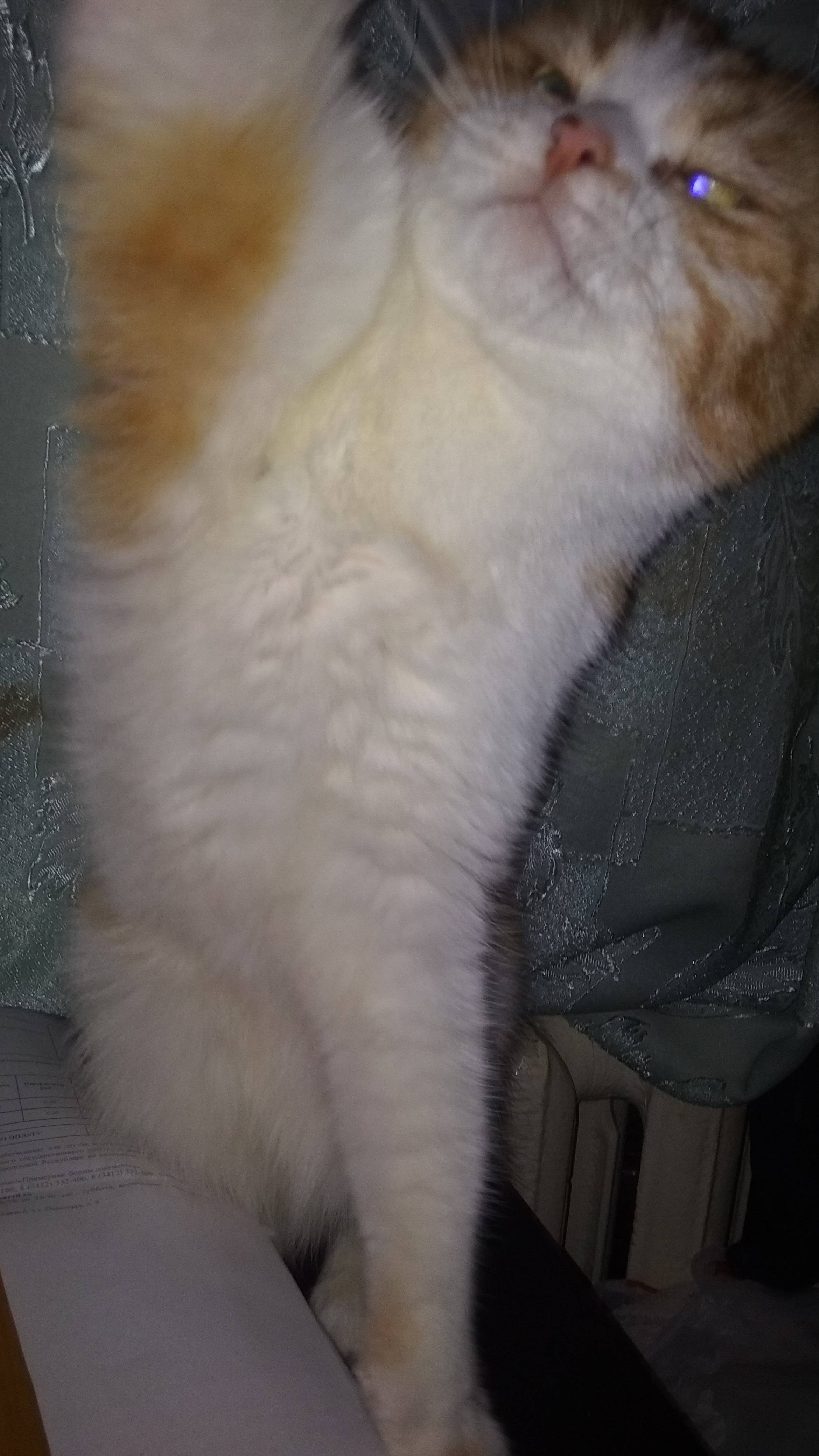 НУ КАТЫ ПАГОДИ...!!!
Улыбнуло? Поддержи Автора:
2200030542971701