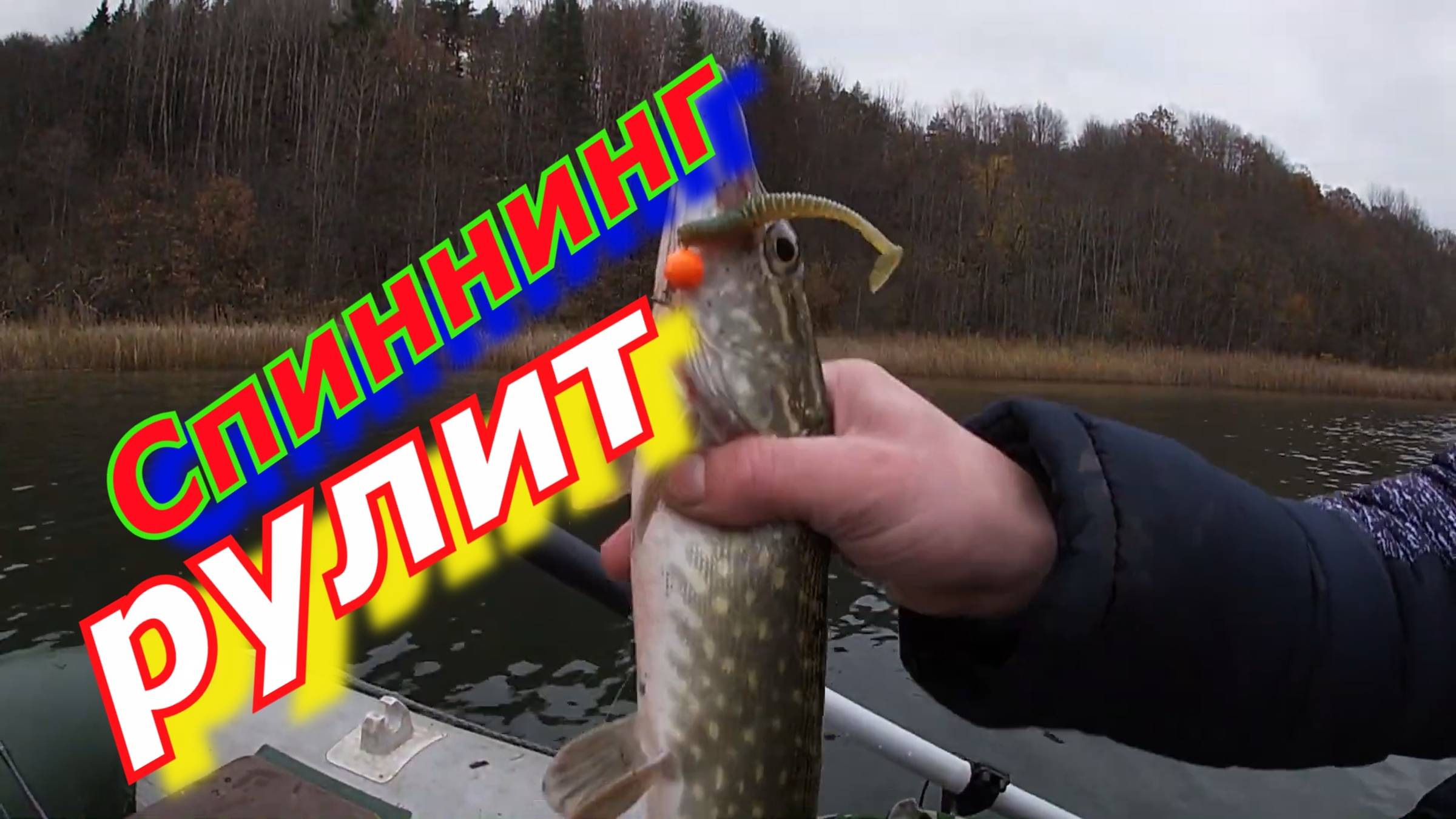 Окунь АРБУЗ! Ловля щуки и окуня на спиннинг!!!!