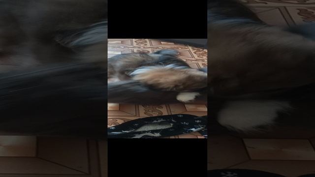 1000000214.mp4
