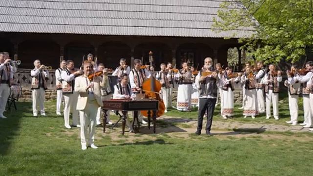 Константинэ, Константинэ🎼💓🫶🏻🩷😘🩷🎻