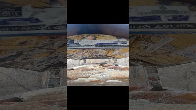 1000033289.mp4жизнь кормушки.24.11.2024г.