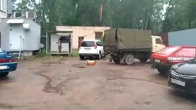 Дурачок