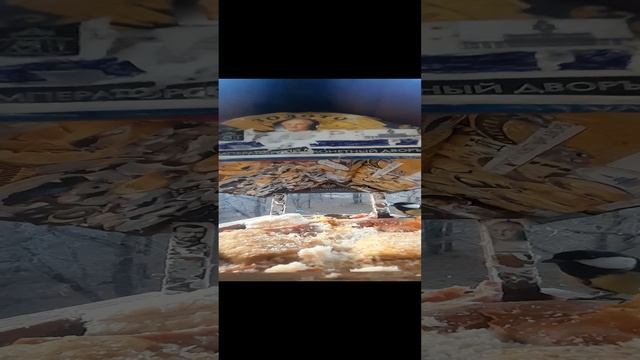 1000033444.mp4телевизор за окном.24.11.2024г.