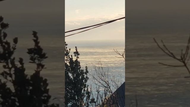Ураган в Алупке! Часть 2.   24.11.24