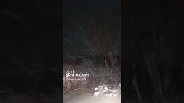 Снежная буря