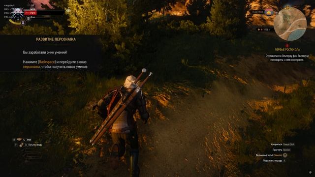 The Witcher 3