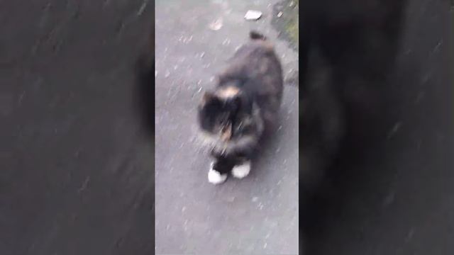1000010925.mp4