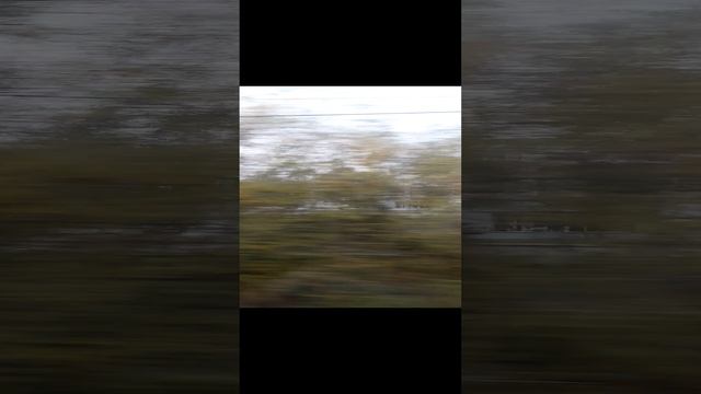 1000030465.mp4ржд.24 11 2024г.