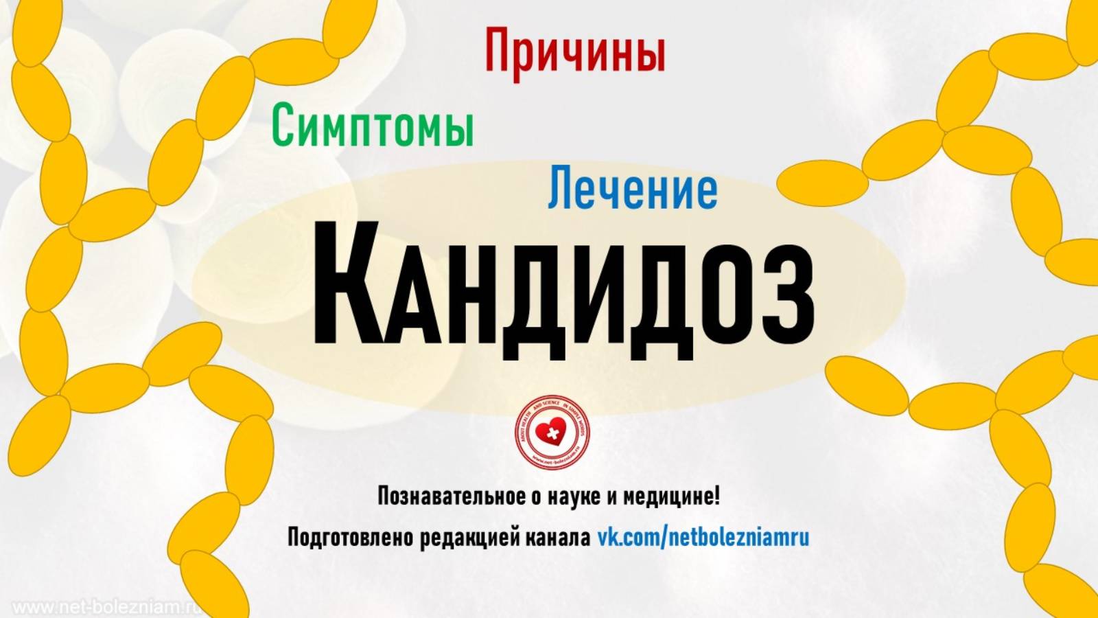 Что такое микоз? Причины, симптомы и лечение кандидоза