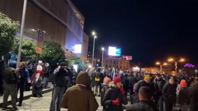В Тбилиси соевые продолжают ходить и ночевать на улице