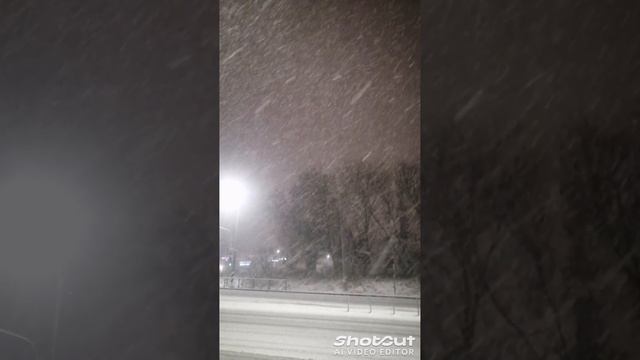 Белые снежинки кружатся с утра