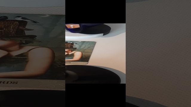20241124_114721.mp4  Ты моя, любимая осень