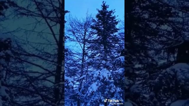 Каждое слово за душу берет