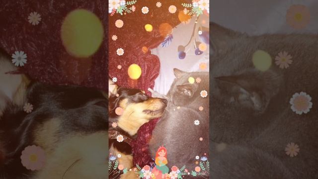 Сонька с Филей ❤️