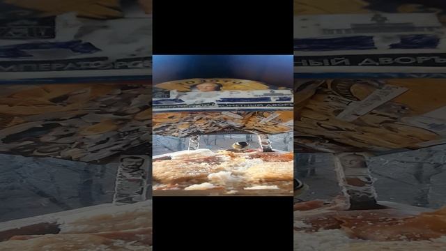 1000033440.mp4жизнь кормушки.24.11.2024г.