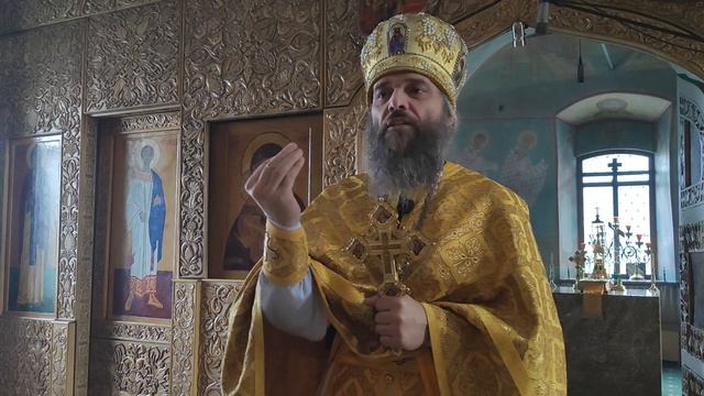 Рыбья печень в серебряном кадиле. 24.11.2024г.