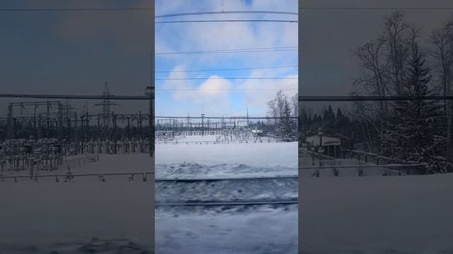 Дорога домой
