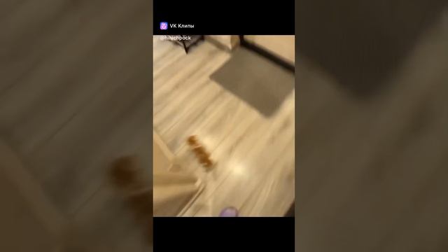 hihichpok юмор подборка