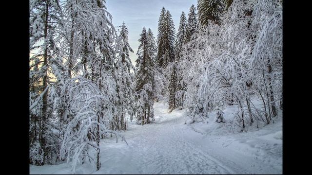 Видео № 6 Вид из окна + зима