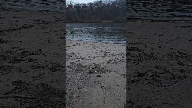 Было прикольно! Пока я в воду не зашёл... #shorts