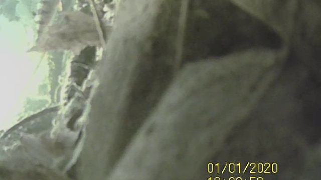1000033434.mp4Волга гл 4м.24.11.2024г.