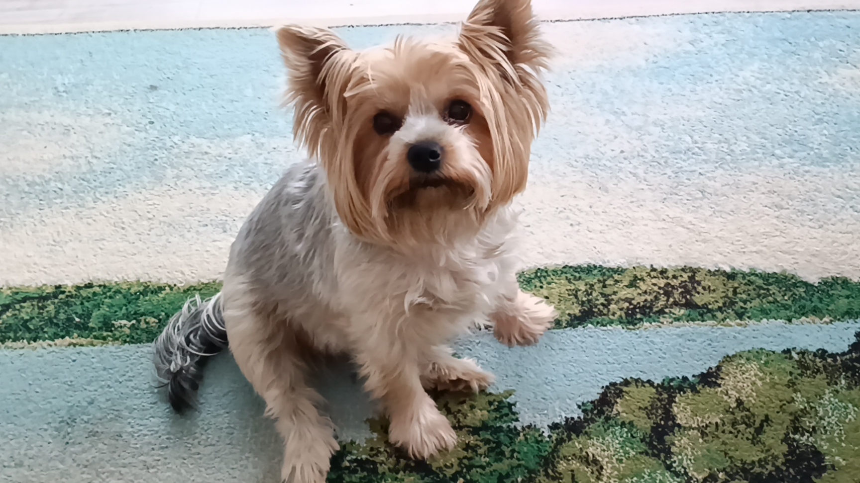 влог.все успеется.Псковская жизнь