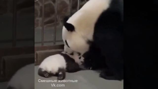 Мама - она всегда мама!