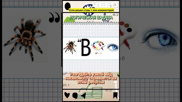 РЕБУС №67 разгадай слово