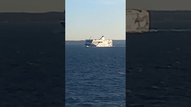 VID_20241124_174357_398.mp4
