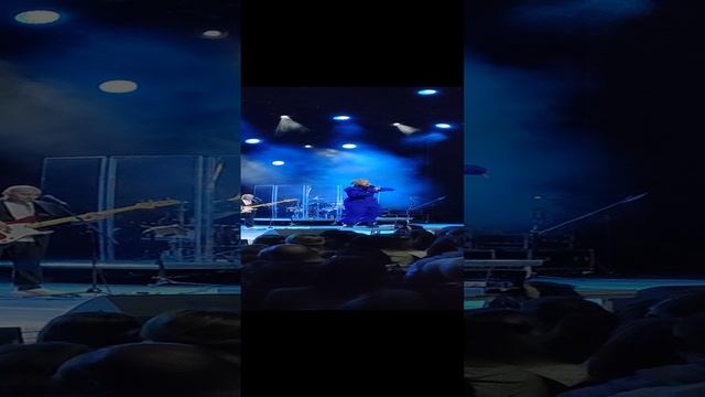 За стеной. Мураками live (short)