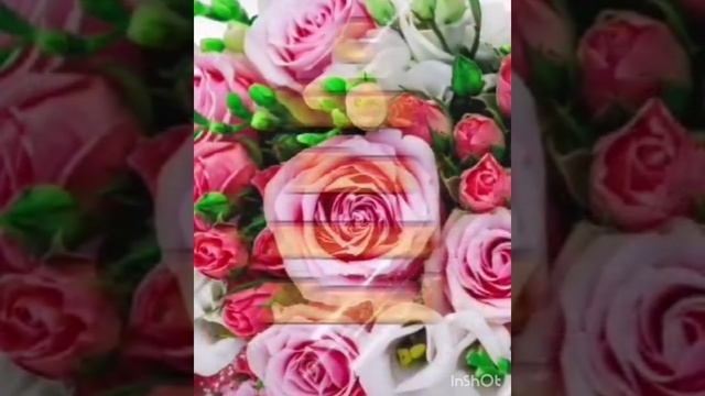 всех мамочек с праздником🌹