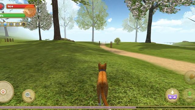 Cat simulator