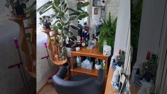 1000061549.mp4