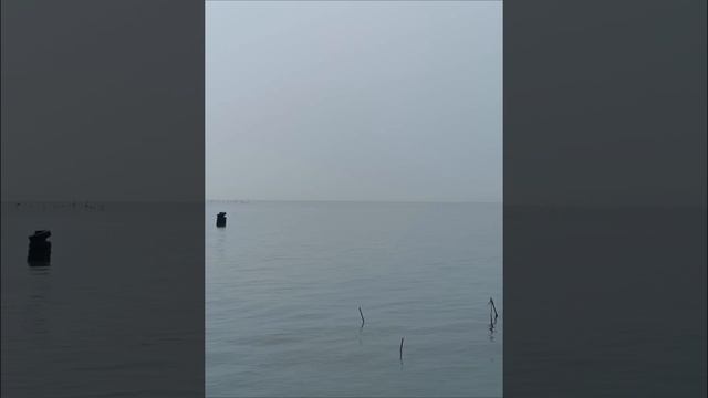 берегите женщин