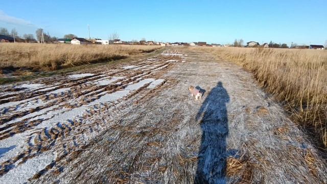 Влог.Консультация у подписчицы.Псковская жизнь