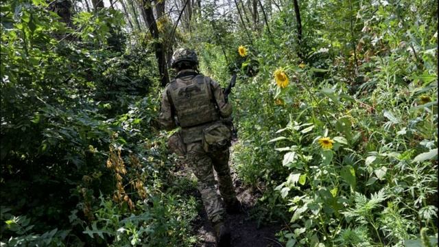 Кадыров показал кадры уничтожения опорного пункта ВСУ в ДНР
