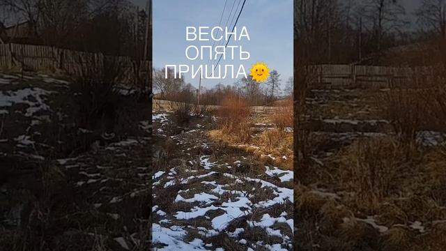 Весна опять пришла👍🌞🌈