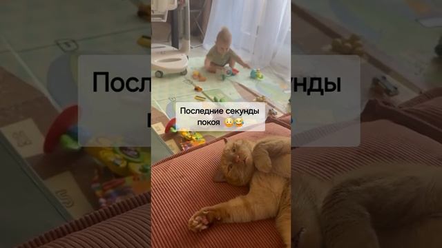 это , что то ;)
