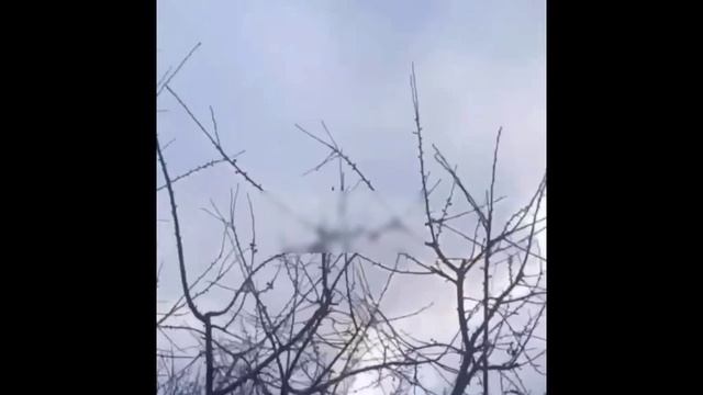 Днепропетровщина 24 11 24
