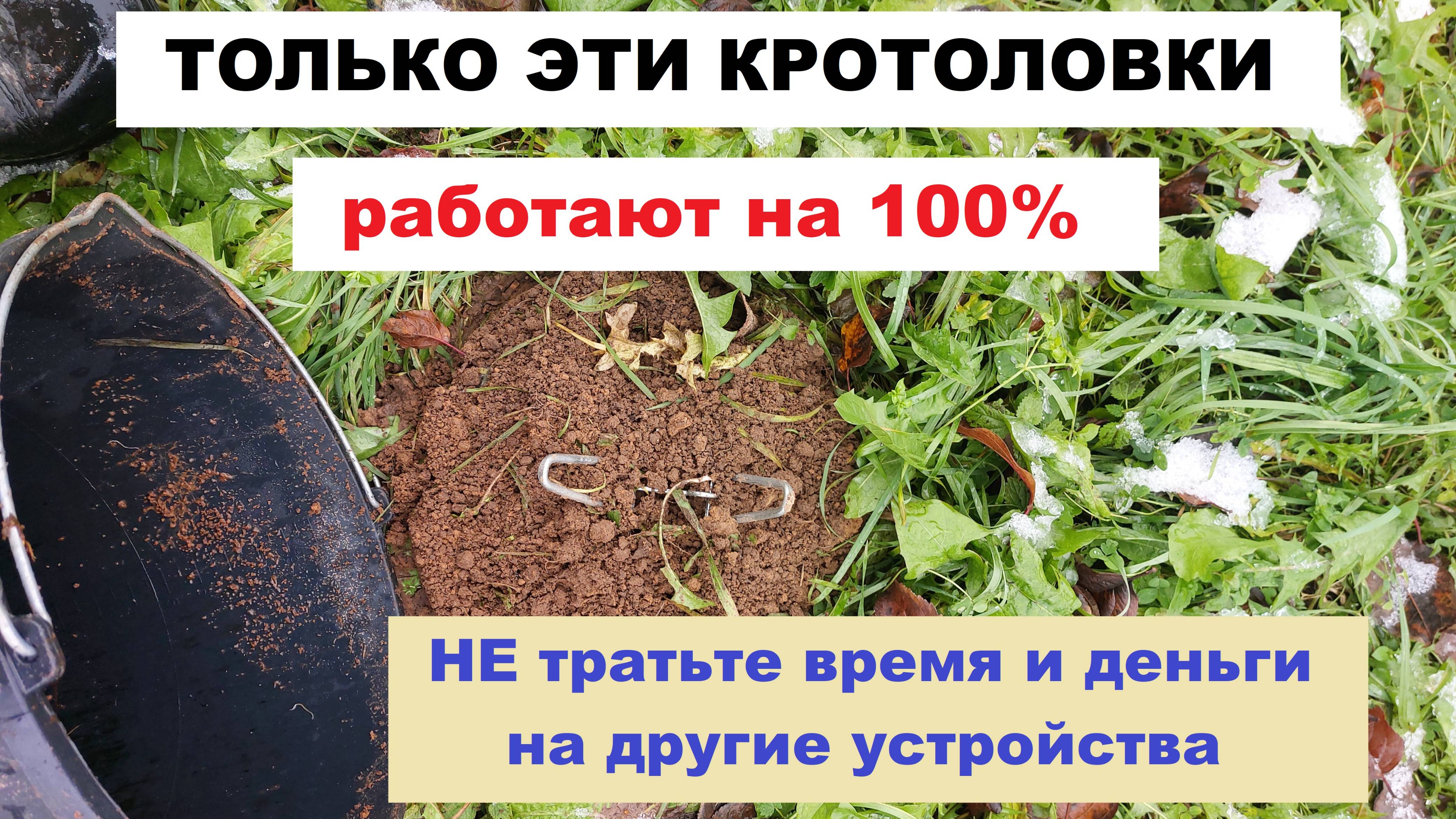 ТОЛЬКО ЭТИ КРОТОЛОВКИ работают на 100%. НЕ тратьте время и деньги на другие устройства!