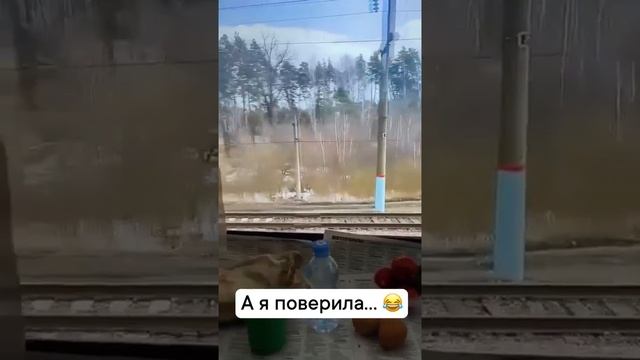 А я поверила, что ребята едут на отдых...