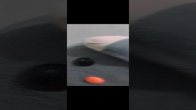 124