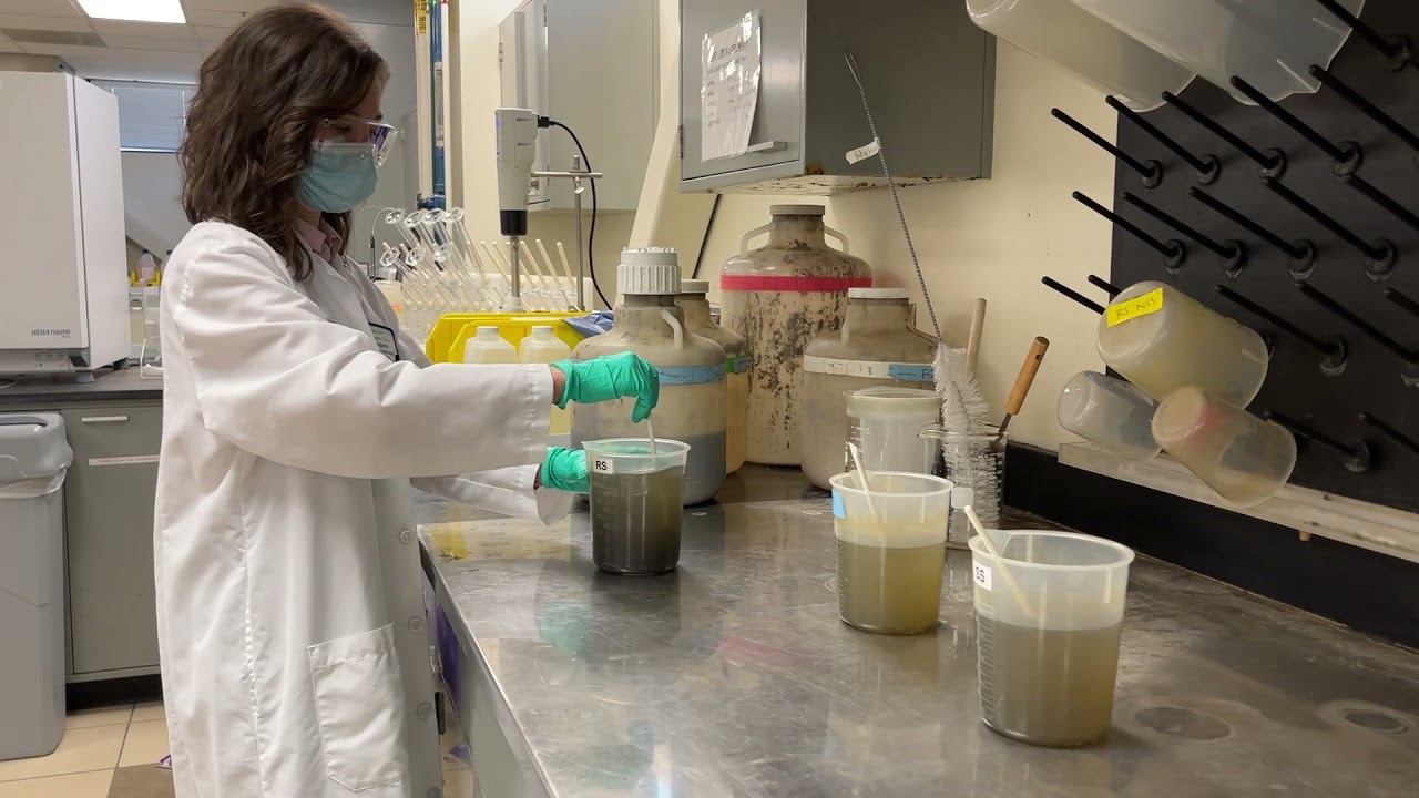 RWF Lab Staff - Daria Garbe