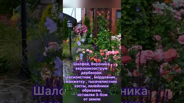 Пора готовить сад к зиме