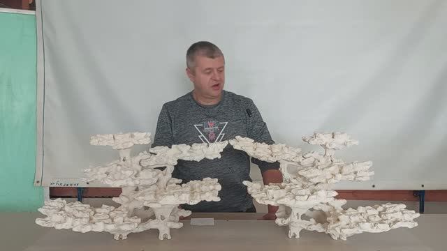 Скейп КД-322