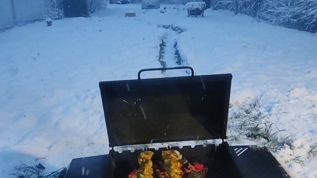 Приехали на дачу жарить шашлык в зимний период
