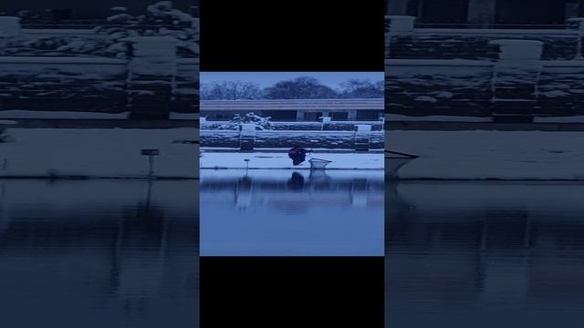 Поимка форели