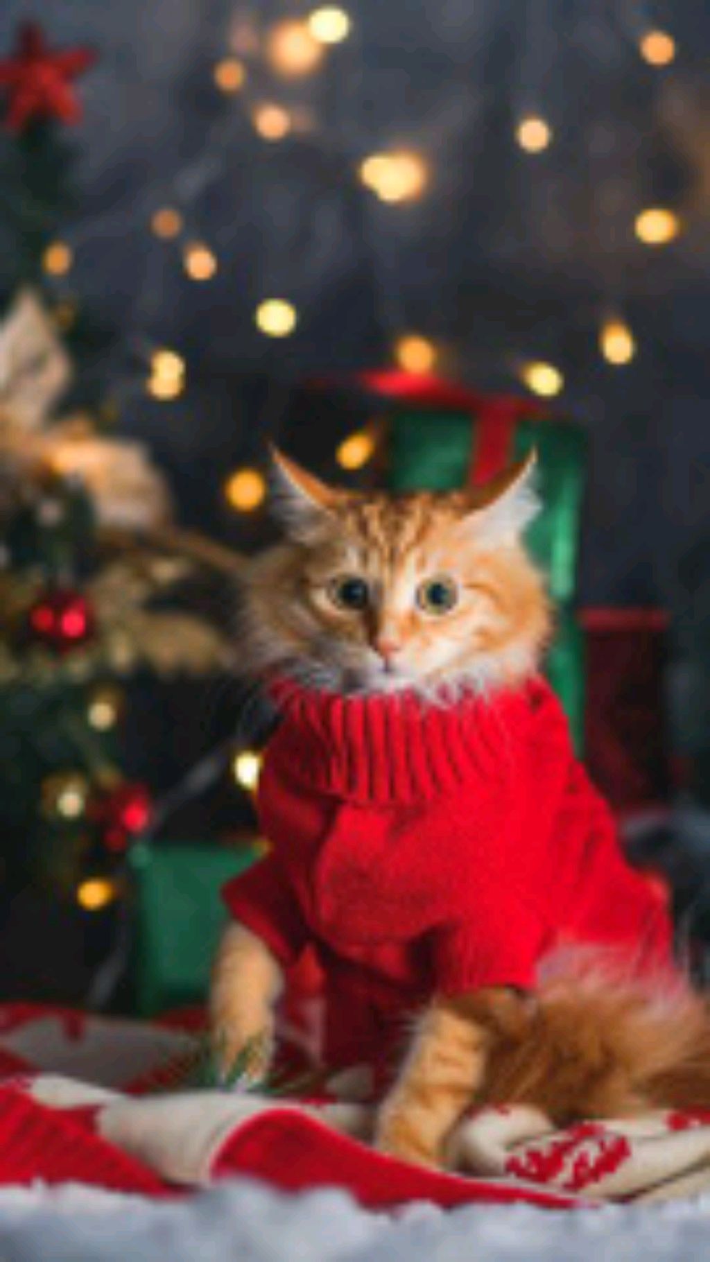 с новым годом! от чупика
