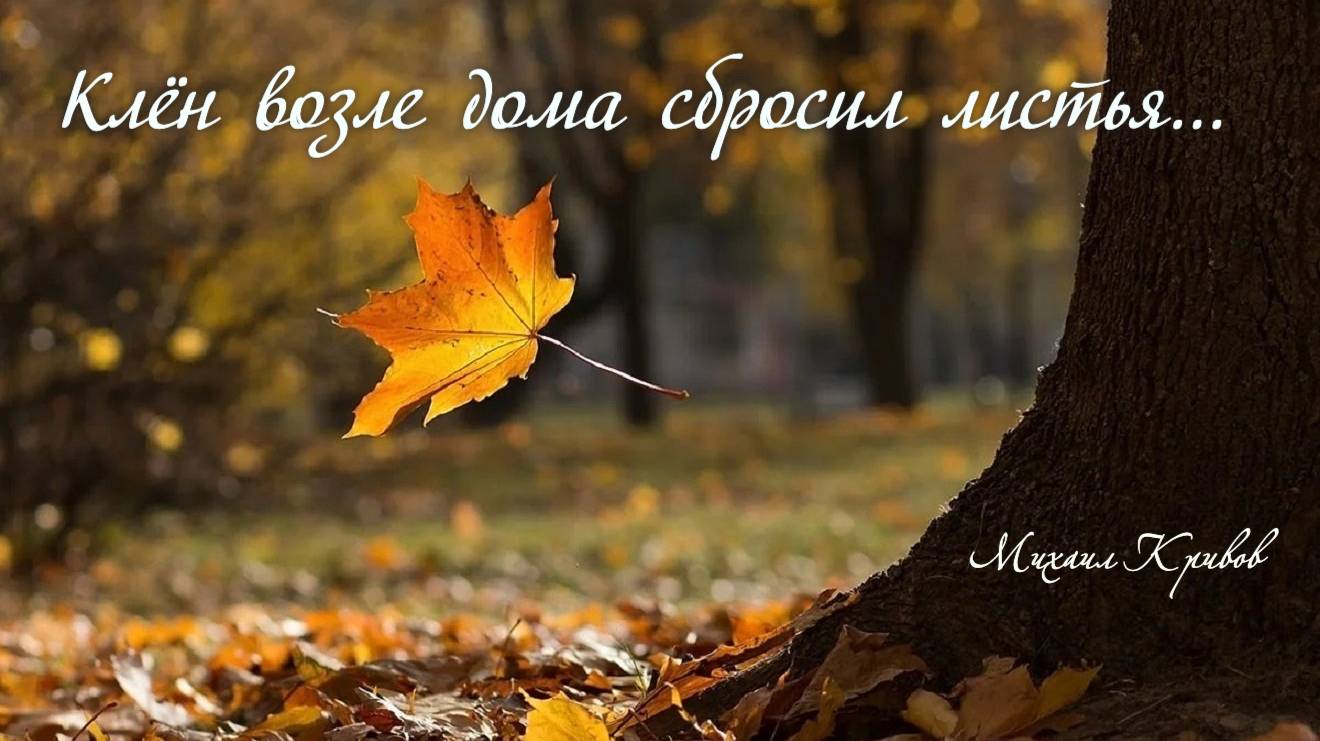Клён возле дома сбросил листья...