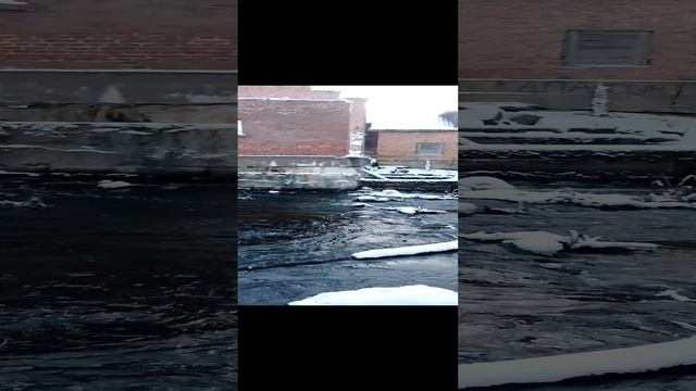 пикайоки ( пионерка)